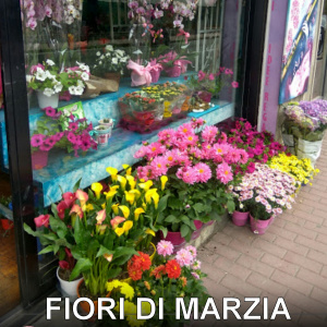 FIORI di Marzia