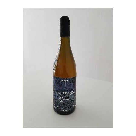 vino_4