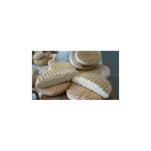 formaggio_1192315841